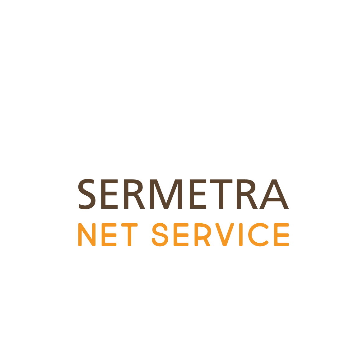 Net Service
