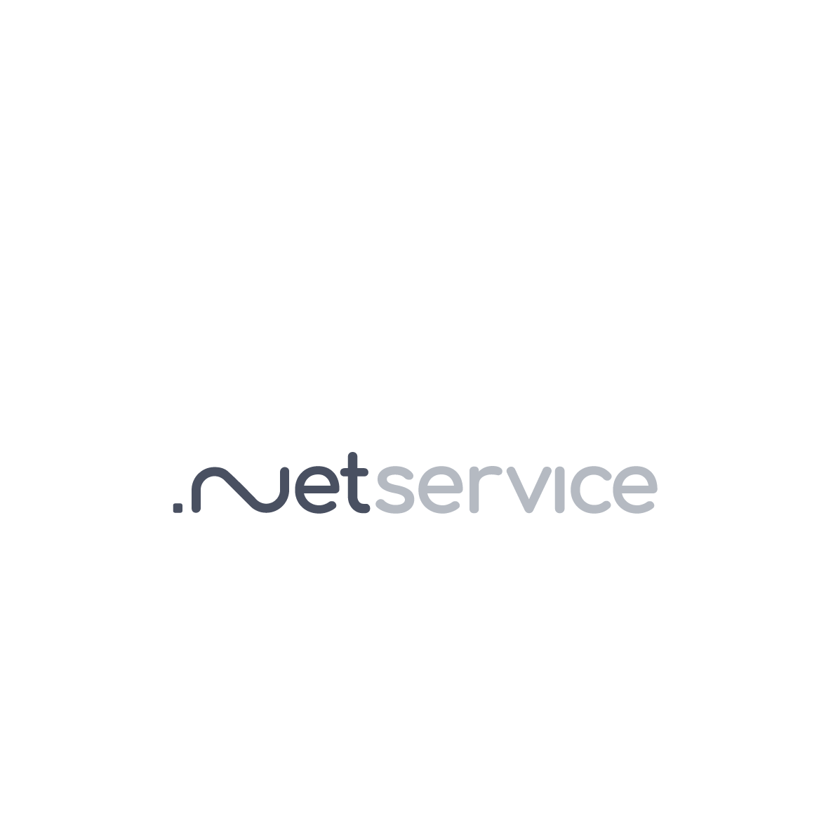 Net Service